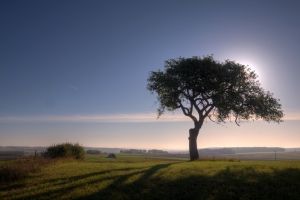 http://www.sxc.hu/photo/1368687