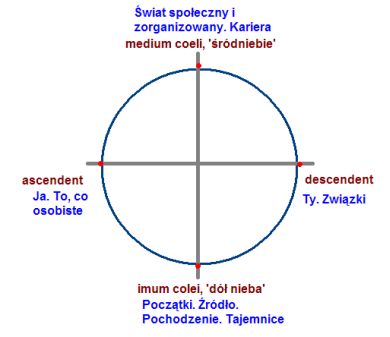 snyic_01.jpg