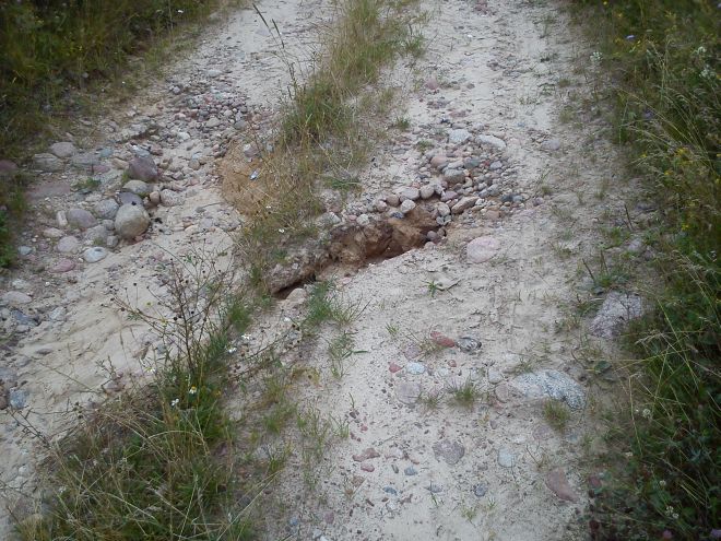 wies_motherearth01.jpg