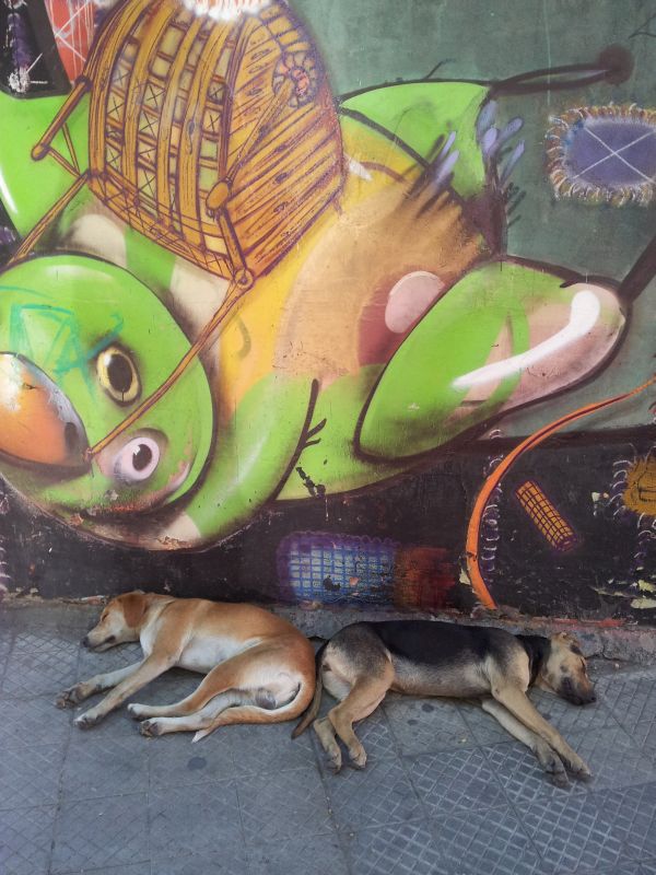 chile_01.jpg