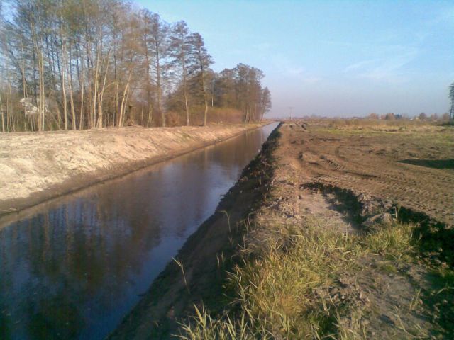 rokitnica_02.jpg