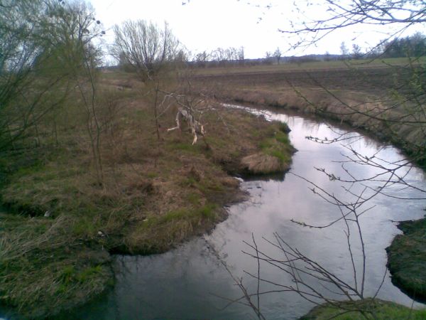 rokitnica_03.jpg