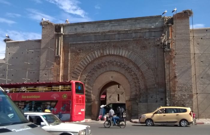 agadir_brama_bociany