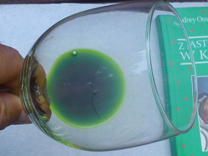 Artemisia absinthium